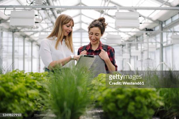 gardener and businesswoman using tablet in greenhouse of a gardening shop - gärtnerei stock-fotos und bilder