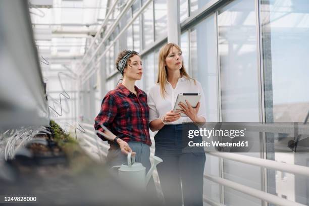 gardener and businesswoman using tablet in greenhouse of a gardening shop - suspicion employee stock pictures, royalty-free photos & images