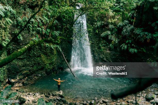rear view of man at a waterfall on sao miguel island, azores, portugal - azores 個照片及圖片檔