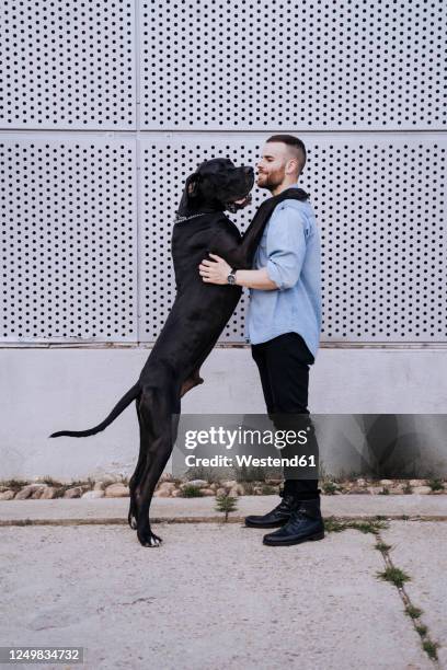 happy young man with his dog outdoors - gran danés fotografías e imágenes de stock