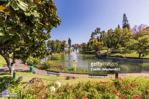 portugal, madeira island, funchal, pond with fountains at santa catarina park, parque de santa catarina - funchal imagens e fotografias de stock