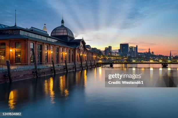 germany, hamburg, fish auction hall on elbe river at sunrise - elbe bildbanksfoton och bilder