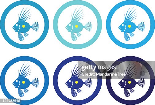 John Dory fish John Dory fish