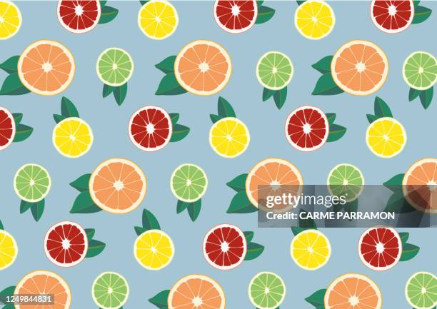 abstract fruit multi color. oranges, lemons and limes - key lime stock illustrations