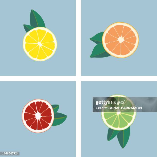 abstrakte frucht multi farbe. orangen, zitronen und limetten - lime stock-grafiken, -clipart, -cartoons und -symbole