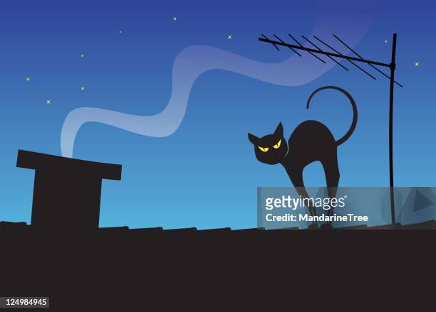 236 Cats On The Roof At Night Photos and Premium High Res Pictures - Getty  Images