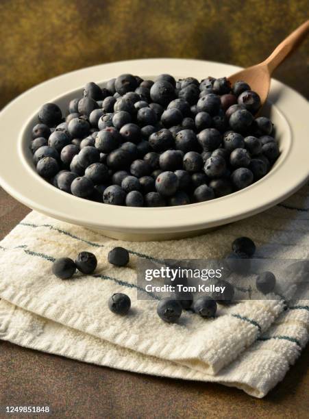 blueberries - bluberry imagens e fotografias de stock