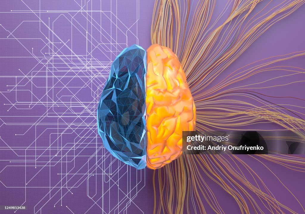 Split net/turbulence artificial brain