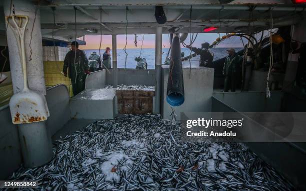 Fish Rifat 3,980 Night Fishing Boat Stock Photos, High-Res Pictures, and Images ...