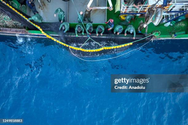 Fish Rifat 3,980 Night Fishing Boat Stock Photos, High-Res Pictures, and Images ...