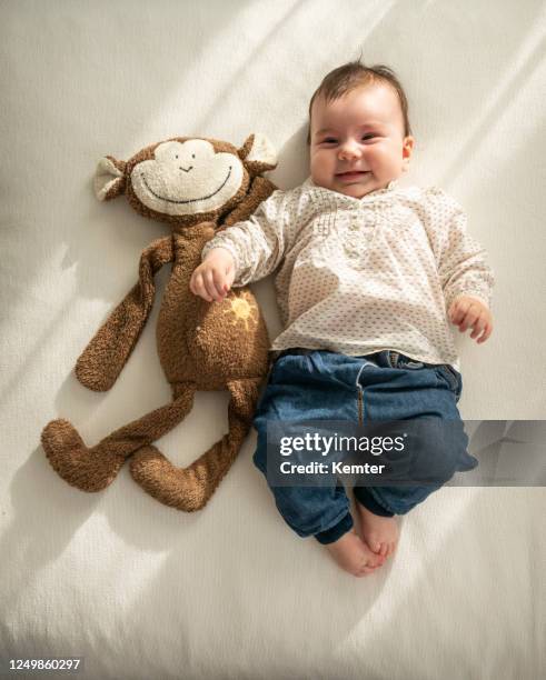 söt liten flicka som ligger på soffan bredvid mjuk leksak - baby stuffed animal bildbanksfoton och bilder