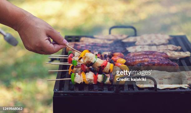 jonge vrouw die barbecue in de binnenplaats voorbereidt - backyard grilling stockfoto's en -beelden