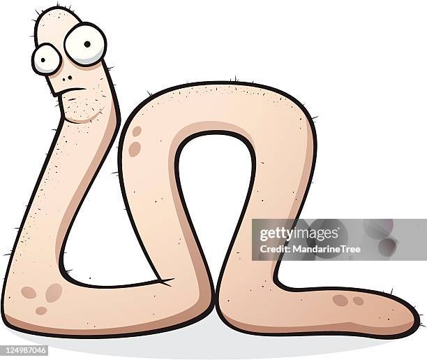 confused worm - worm stock illustrations