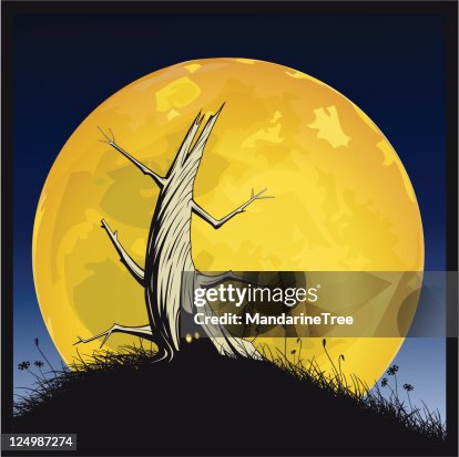 Scary tree Scary tree