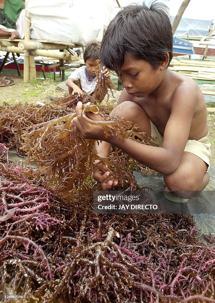 PHILIPPINES-HOSTAGE AGAR