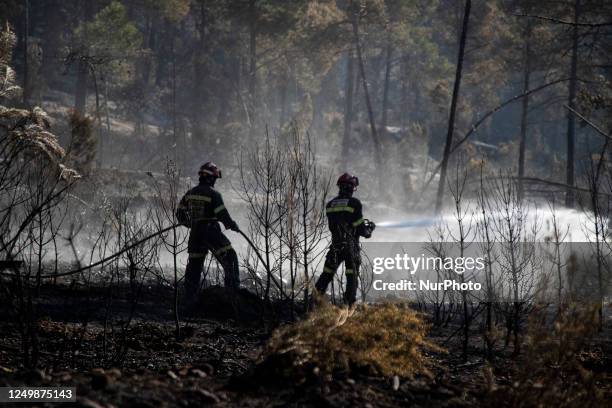 Firefighters check the areas ComunitatFirefighters of Aragon check the areas. The perimeter of the fire declared last Thursday in Villanueva de Viver...