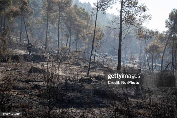 Firefighters check the areas ComunitatFirefighters of Aragon check the areas. The perimeter of the fire declared last Thursday in Villanueva de Viver...