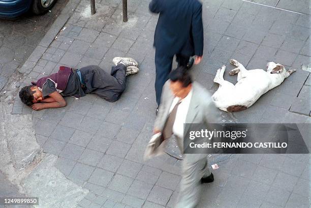 Two men walk by a dog and man sleeping on the street in Mexico City, 19 March 2002. Dos transeuntes pasan entre un perro y un muchacho dormidos en...