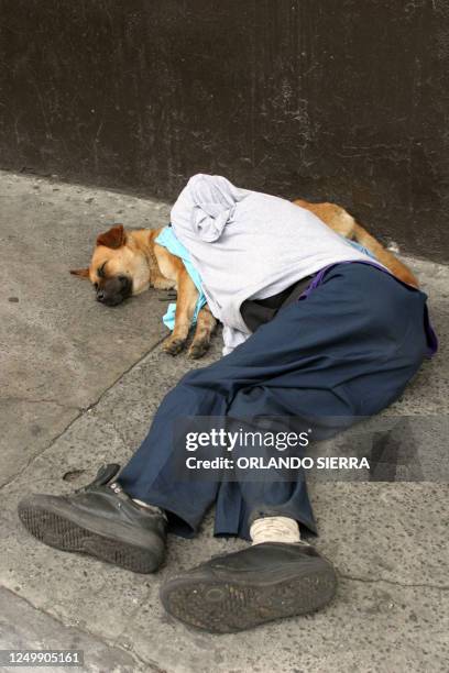 Un indigente utiliza su perro de almohada mientras duerme en una centrica calle del centro historico de Ciudad de Guatemala, el 23 de abril de 2006....