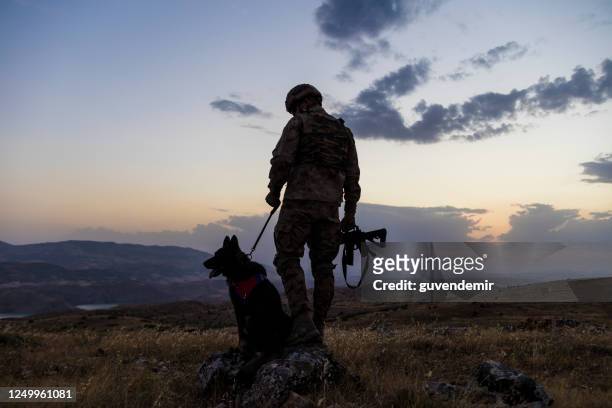 military dog and its soldier owner - german shepherd sitting stock pictures, royalty-free photos & images