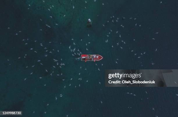 malerische luftaufnahme des fischerbootes auf den lofoten im winter - fischerboot stock-fotos und bilder
