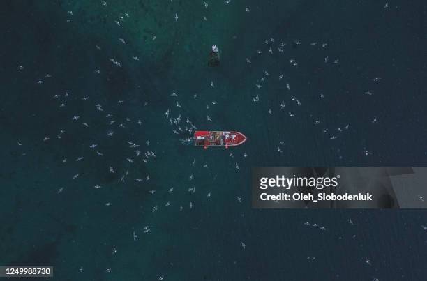 schilderachtige luchtmening van vissersboot in eilanden lofoten in de winter - fishing boats stockfoto's en -beelden
