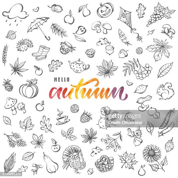 hello autumn card - nut food stock illustrations