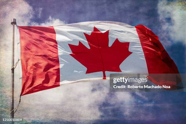 canadian flag waving in the wind - canada government stock pictures, royalty-free photos & images