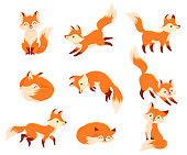 Foxes in different poses cartoon set. Cute little animal standing, sitting, running, jumping.