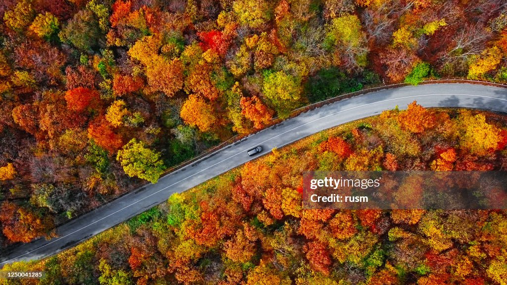 Overhead-Luftaufnahme der gewundenen Bergstraße im bunten Herbstwald