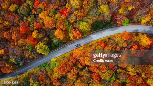 overhead aerial view of winding mountain road inside colorful autumn forest - season stock pictures, royalty-free photos & images