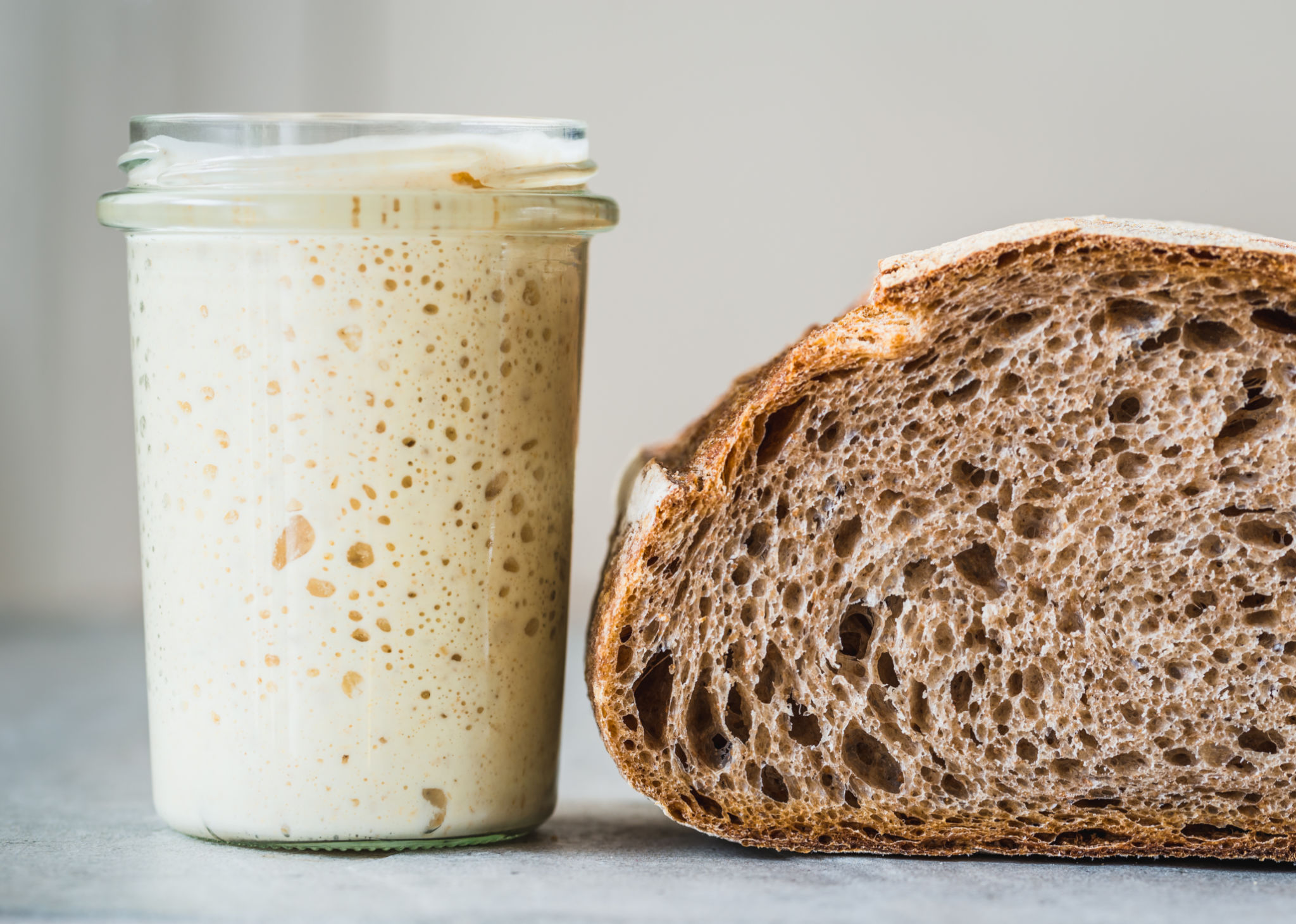 sourdough starter