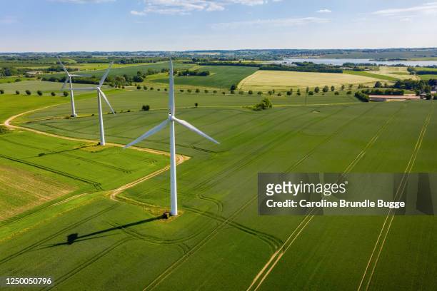 green energy - forest denmark stock pictures, royalty-free photos & images
