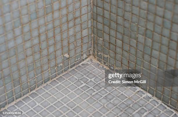 corner walls and floor of a tiled shower cubicle - mörtel stock-fotos und bilder