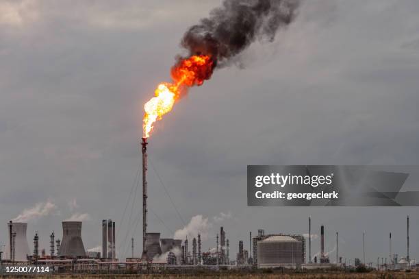 pila di brillamenti della raffineria di petrolio - gas di scarico foto e immagini stock