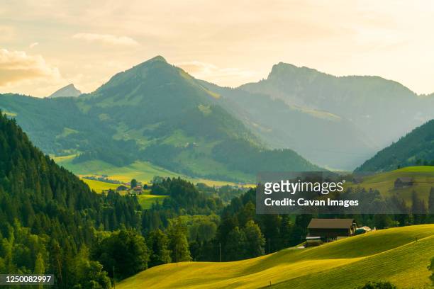 view of mountains and fields in summer in bern canton - jungfraujoch stockfoto's en -beelden