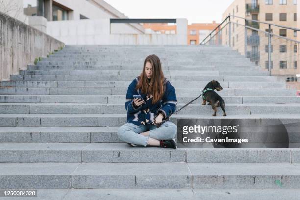 young adult woman sit looking her phone and next to her dog after walk - hippie bildbanksfoton och bilder