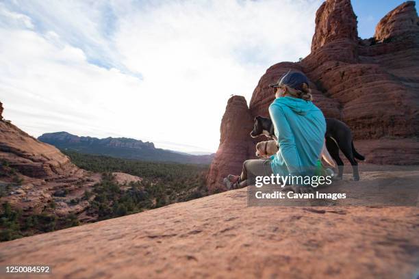 a woman and her dogs enjoying the views of sedona, arizona - desert dog stockfoto's en -beelden