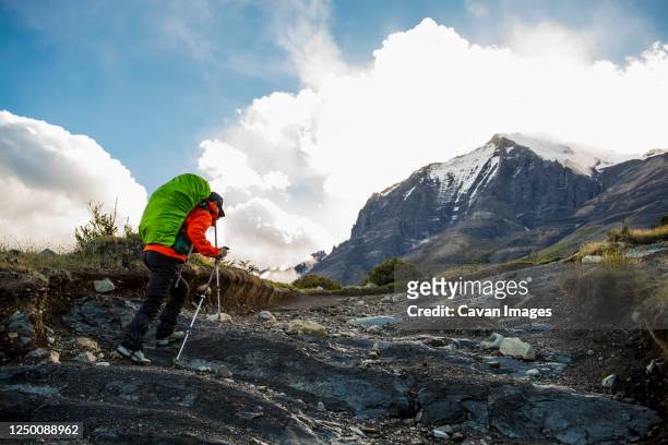 2,226 Patagonia Clothing Photos and Premium Pictures Getty Images