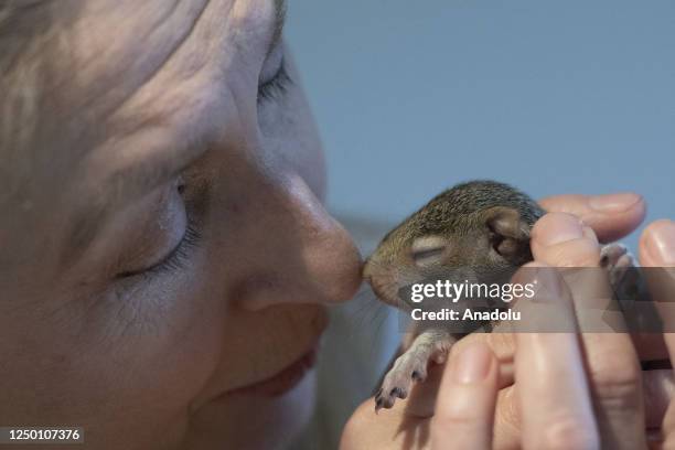 British mother Natalia Doran, caresses a squirrel with a straw as she devoted her life to squirrels by turning her five-bedroom home with a garden...