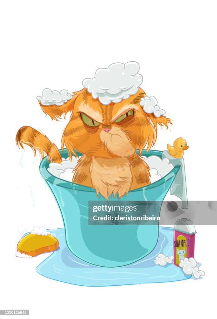 Het kattenbad