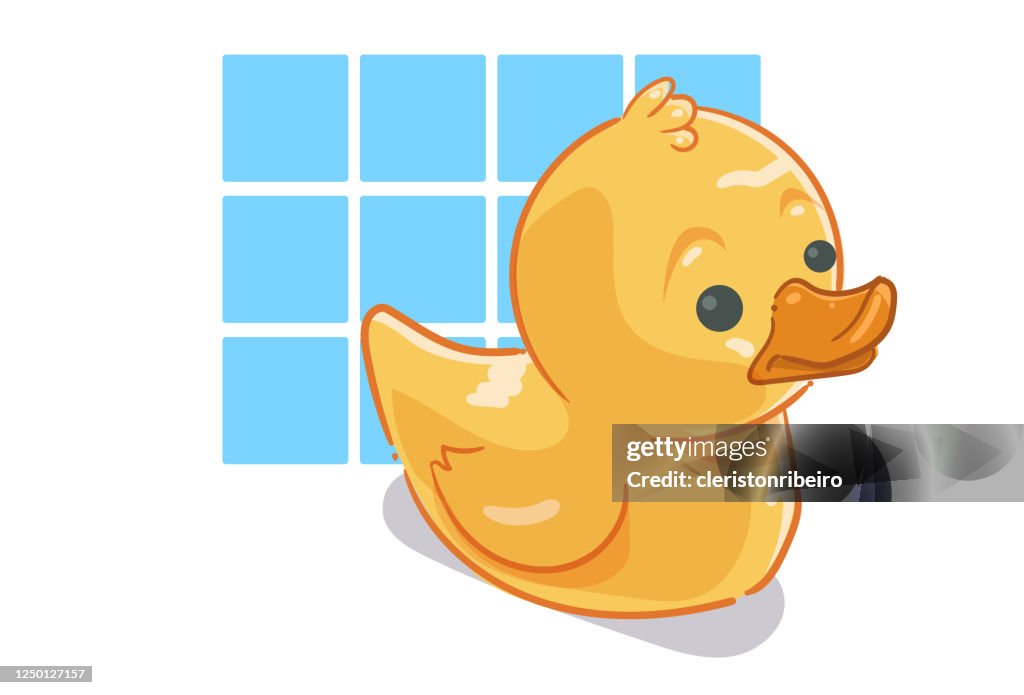 The Rubber duck