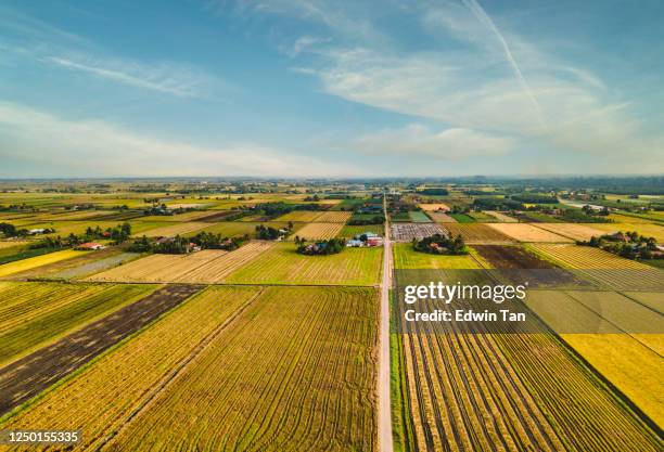 sekinchan padi veld in de ochtend met zonlicht - autarkie stockfoto's en -beelden