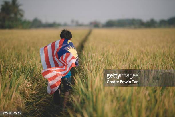 malaysia independence day un ragazzo cinese asiatico che porta bandiera malese al campo padi godendo la luce del sole del mattino e sentirsi orgoglioso e felice di correre - malaysia independence day foto e immagini stock