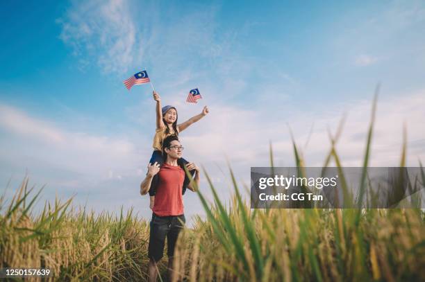 malaysia independence day an asian chinese young girl holding malaysia flag at padi field carried by her father on her father shoulder enjoying morning sunlight and feel proud and happy - malaysian culture stock pictures, royalty-free photos & images
