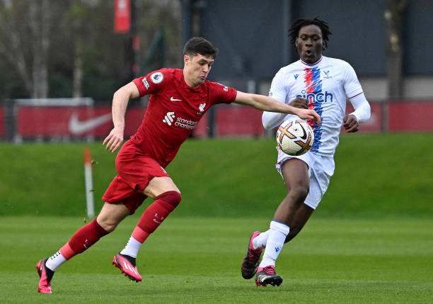 GBR: Liverpool v Crystal Palace - Premier League International Cup