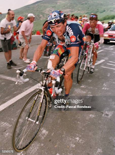 Randy Rominger 119 Tony Rominger Fotos und hochauflösende Bilder - Getty Images