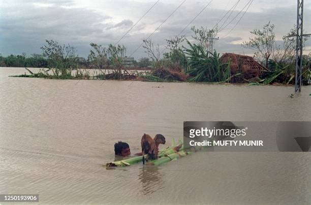 Man tries to save him self and his lamb in flood waters 30 April 1991 in Chittagong district in the aftermath of Bangladesh worst cyclone in 20...