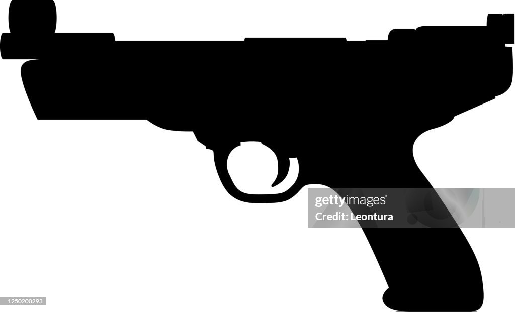 Gun