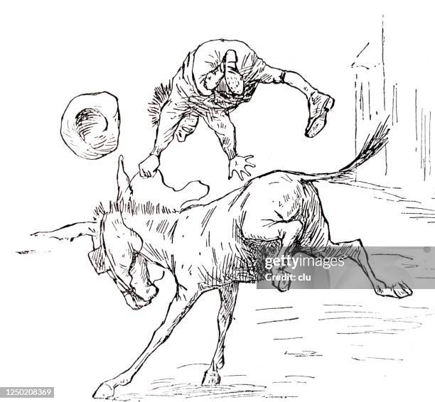 Donkey Rodeo 164 Rodeo Cartoon Stock Photos, High-Res Pictures, and Images - Getty ...